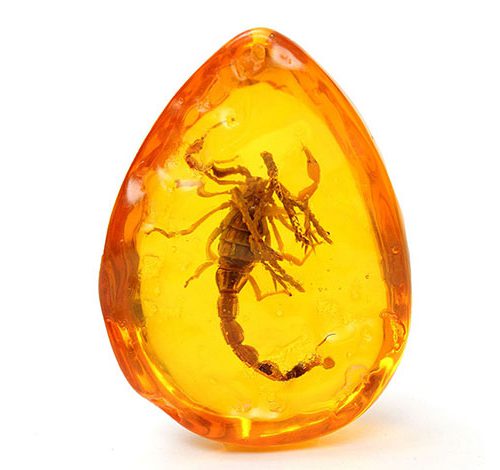 Güneş Burcu Kehribar